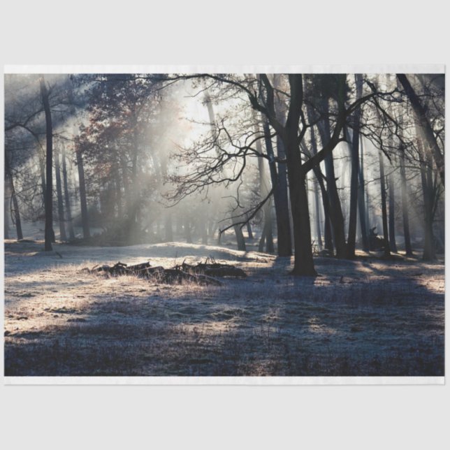 Waldlandschaft 23 Dekoupage Tissue Seidenpapier (Vorderseite)