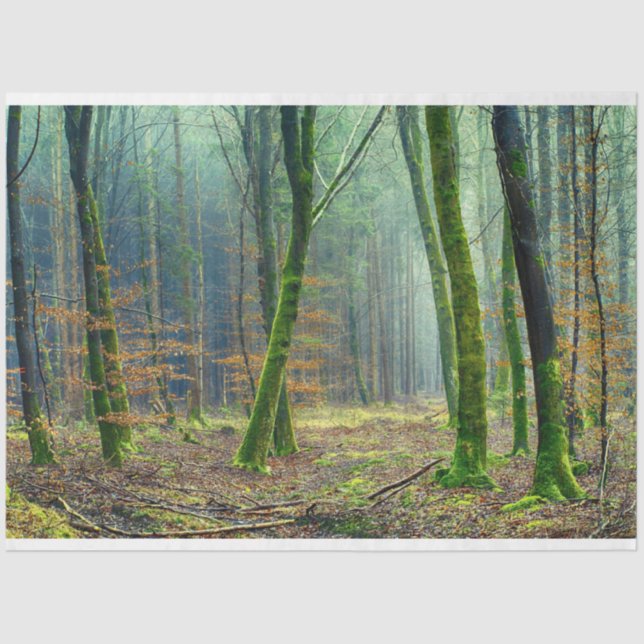 Waldlandschaft 25 Dekoupage Tissue Paper Seidenpapier (Vorderseite)