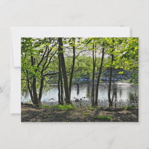 Waldlandschaft. Blackweir Woods, Cardiff Karte