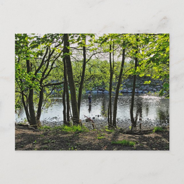 Waldlandschaft. Blackweir Woods, Cardiff Postcard Postkarte (Vorderseite)