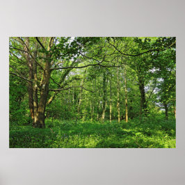 Waldlandschaft. Blackweir Woods, Cardiff Poster