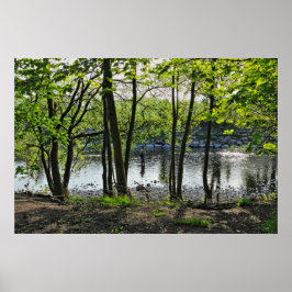 Waldlandschaft. Blackweir Woods, Cardiff Poster