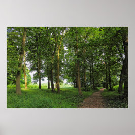Waldlandschaft. Blackweir Woods, Cardiff Poster