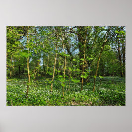 Waldlandschaft. Blackweir Woods, Cardiff Poster