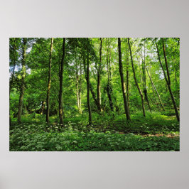 Waldlandschaft. Blackweir Woods, Cardiff Poster
