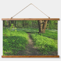 Waldlandschaft. Blackweir Woods, Cardiff
