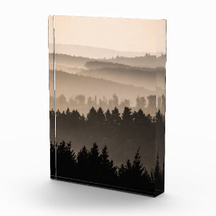 Waldlandschaft Foto