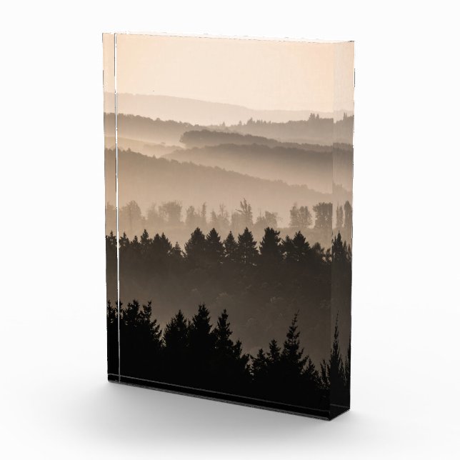 Waldlandschaft Foto (Rechts)