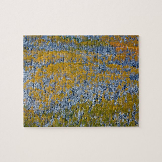 Waldlandschaft im Herbst Puzzle (Horizontal)