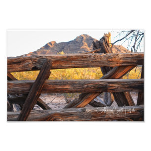 Waldlandschaft in der Wüste Fotodruck