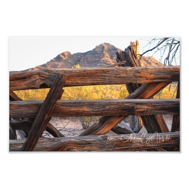 Waldlandschaft in der Wüste Fotodruck (Vorne)