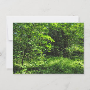 Waldlandschaft Karte