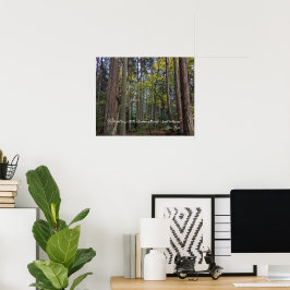 Waldlandschaft mit John Muir Zitat Poster
