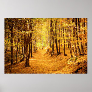 Waldlandschaft Poster