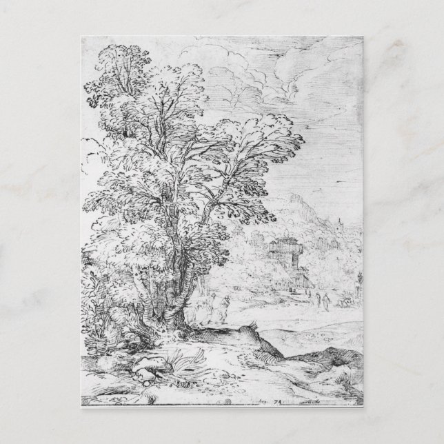 Waldlandschaft Postkarte (Vorderseite)