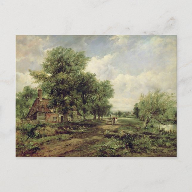 Waldlandschaft Postkarte (Vorderseite)