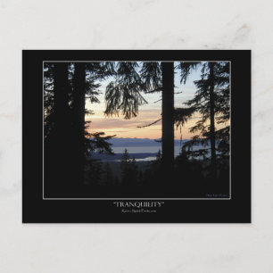 Waldlandschaft Postkarten