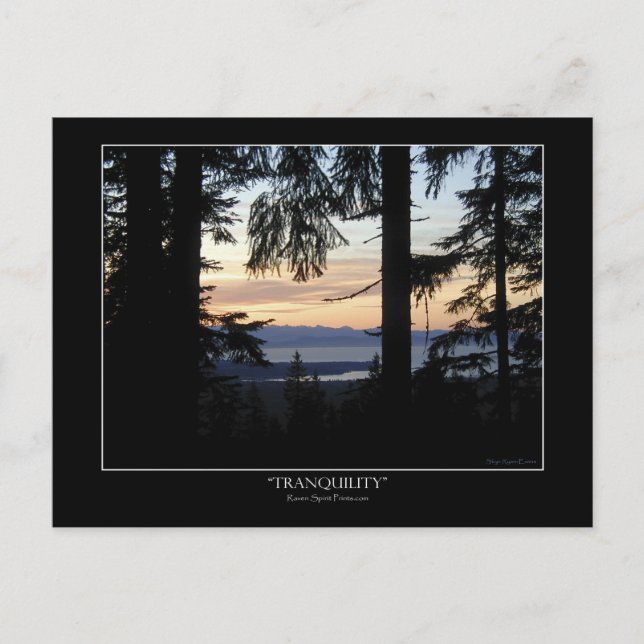 Waldlandschaft Postkarten (Vorderseite)