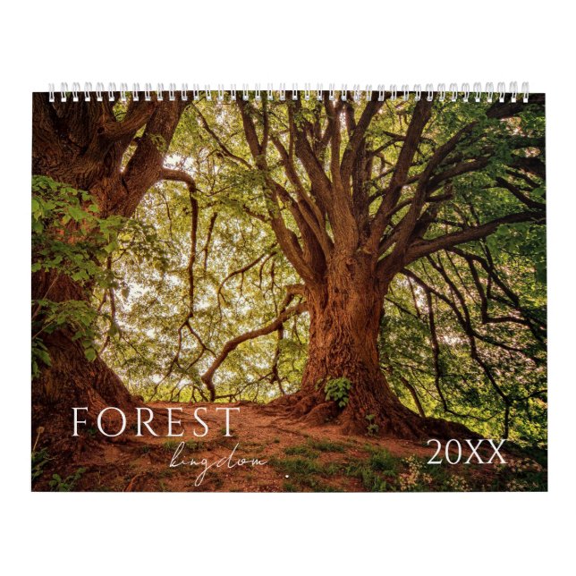 Waldlandschaft Vier Jahreszeiten Kalender (Titelbild)