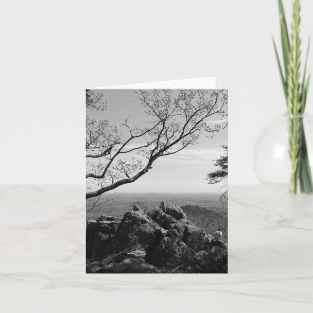 Waldlandschaftsfotos auf der Standardpostkarte Karte (Vorderseite)