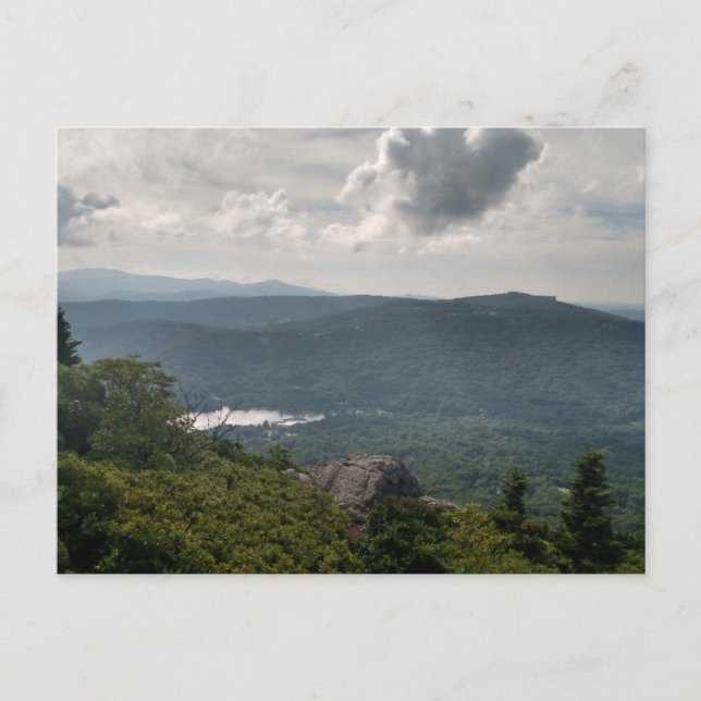 Waldlandschaftsfotos auf der Standardpostkarte Postkarte (Vorderseite)