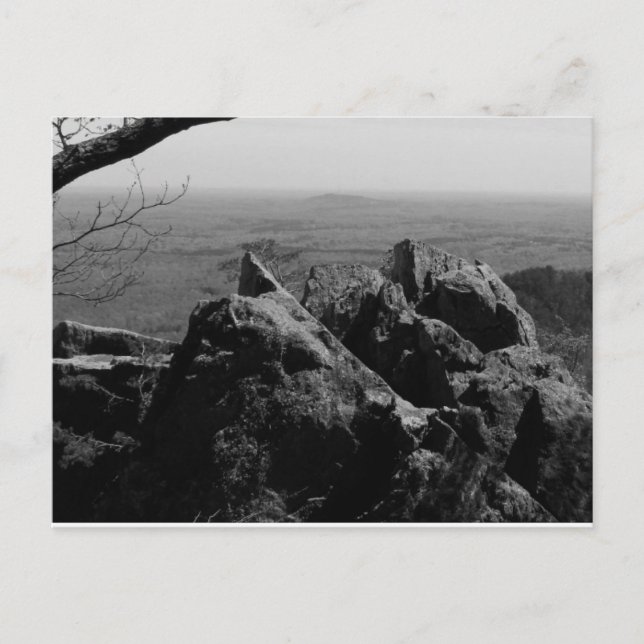 Waldlandschaftsfotos auf der Standardpostkarte Postkarte (Vorderseite)