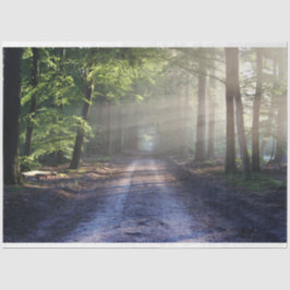 Waldlandschaftspfade 24 Dekoupage Tissue Paper Seidenpapier