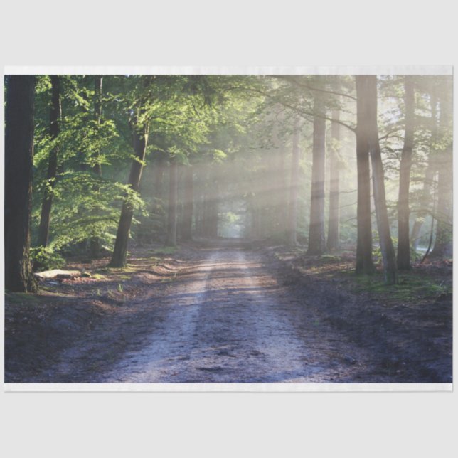 Waldlandschaftspfade 24 Dekoupage Tissue Paper Seidenpapier (Vorderseite)