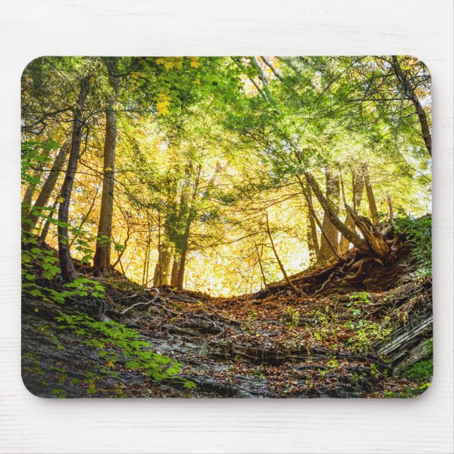 Waldlichtnatur Mousepad (Vorne)
