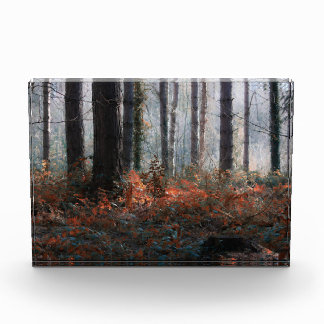 Waldmagie Fotoblock