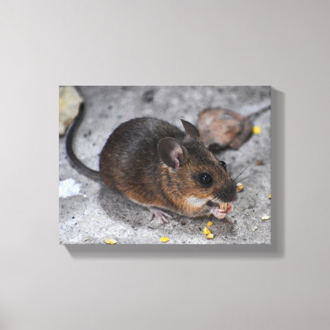 Waldmaus  leinwanddruck (Vorderseite)