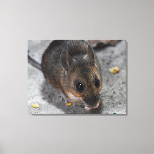 Waldmaus  leinwanddruck