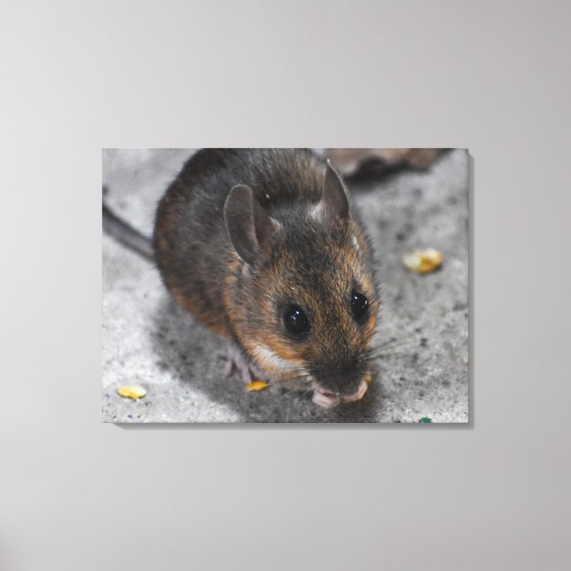 Waldmaus  leinwanddruck (Vorderseite)