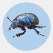 Waldmistkäfer Dor Beetle Blauer Dung Bug T-Shirt