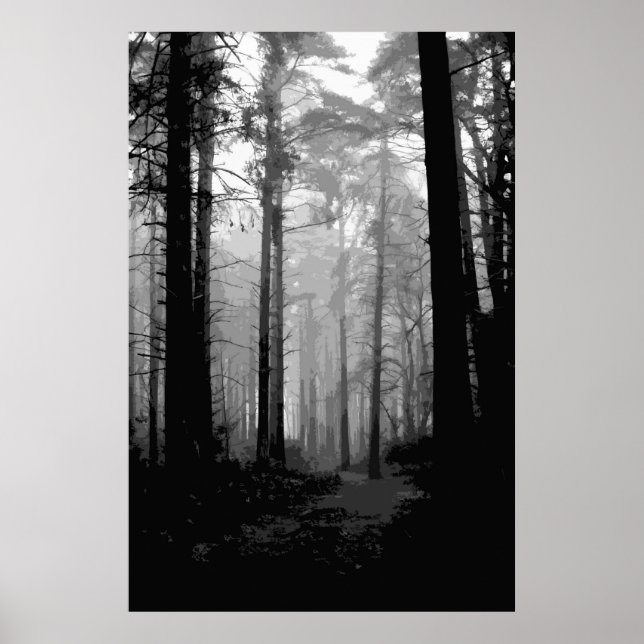 Waldnebel 10 poster (Vorne)
