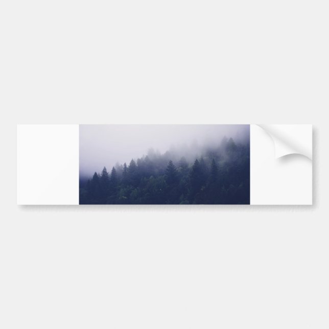 Waldnebel Autoaufkleber (Vorne)