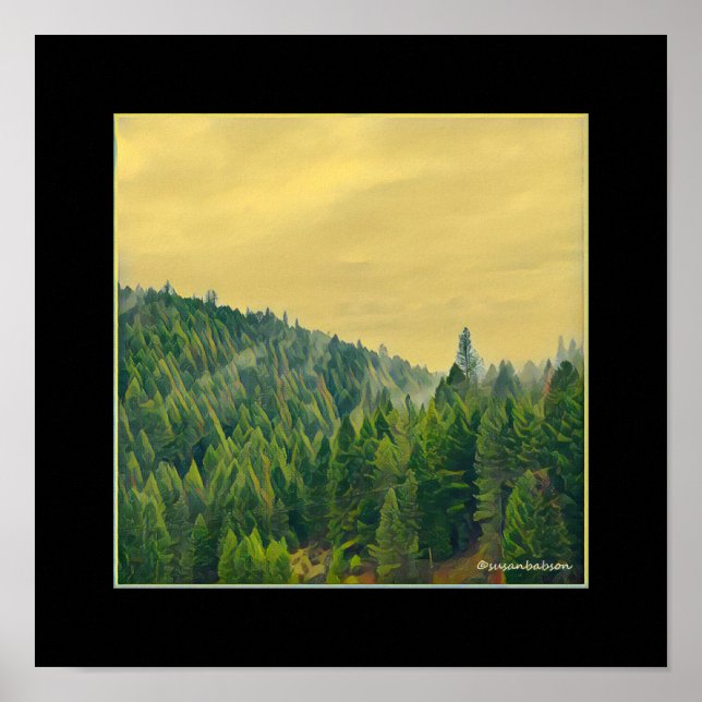 Waldnebel Poster (Vorne)