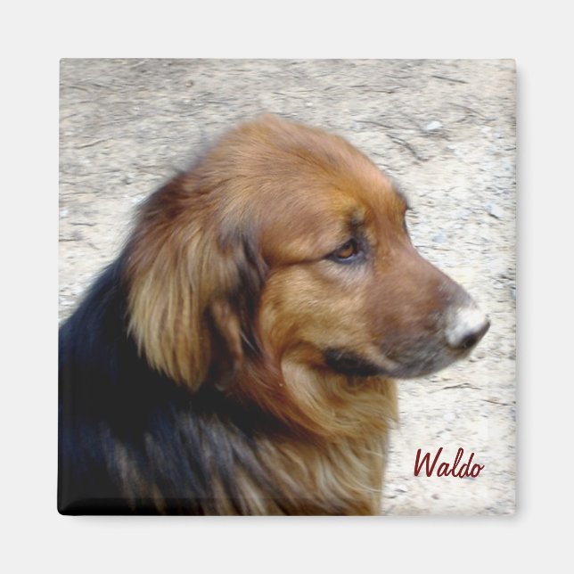 Waldo Magnet (Vorne)