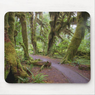 Waldolympischer Nationalpark Mousepad
