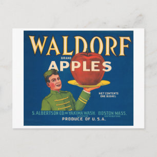 Waldorf Brand Äpfel Vintag Crate Label Postkarte