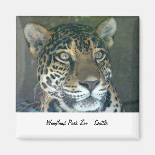 Waldpark-Zoo-Katzen-Magnet Magnet
