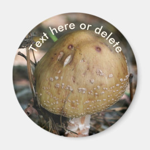 Waldpilz-Natur-Personalisiert Magnet