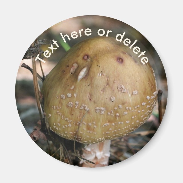 Waldpilz-Natur-Personalisiert Magnet (Vorne)