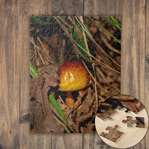 Waldpilz Puzzle