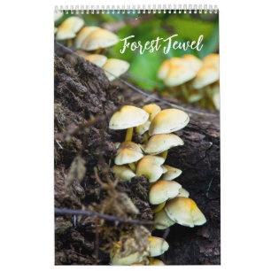 Waldpilzkalender Kalender