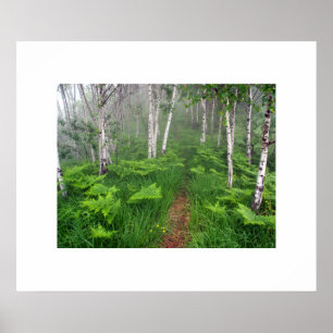 Waldposter Poster