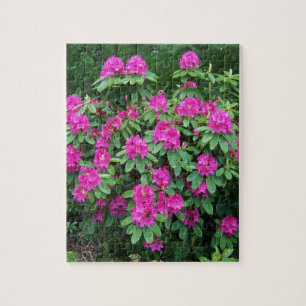 Waldrhododendron Puzzle