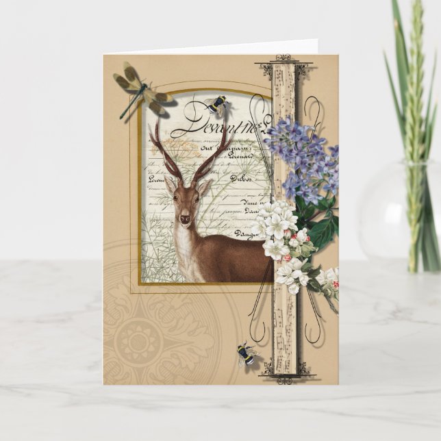 Waldrotwild - Vintage leere Gruß-Anmerkung Karte (Vorderseite)