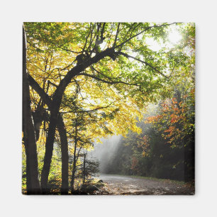 Waldschlucht Suite-Anne QC-Magnet StrahlenSun Magnet