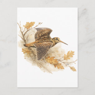 Waldschnepfe postkarte